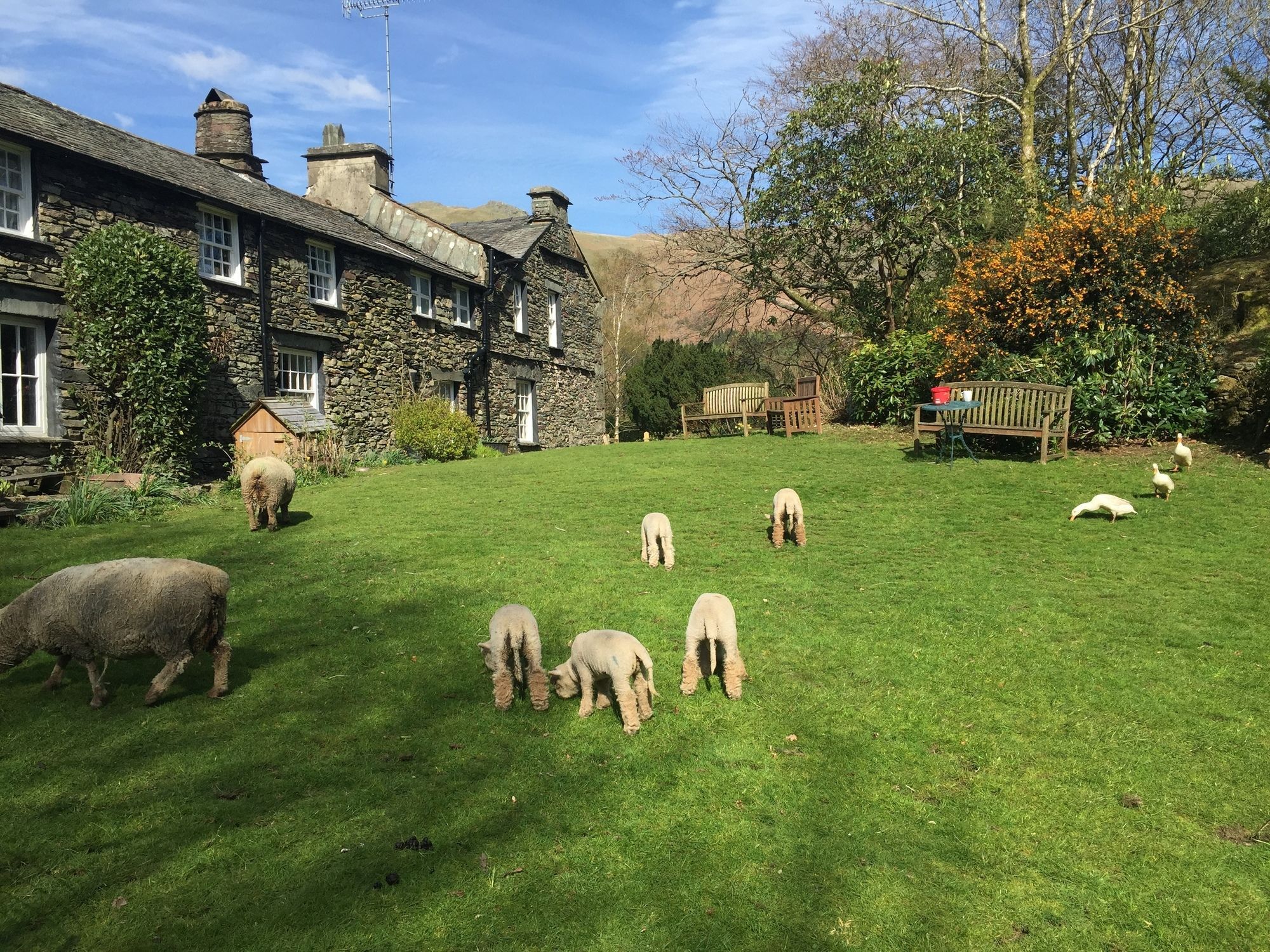 Thorney How Ambleside Exterior photo